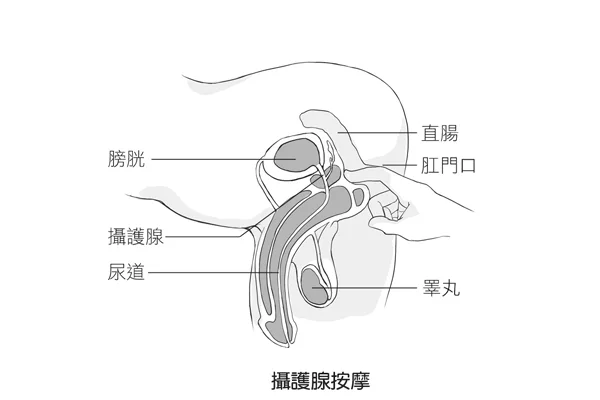 图片[10] - 「手爱」不是摸你想摸的！14张图片教你让伴侣高潮的性爱按摩 - ACG play