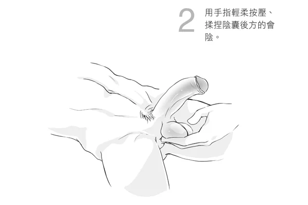 图片[4] - 「手爱」不是摸你想摸的！14张图片教你让伴侣高潮的性爱按摩 - ACG play