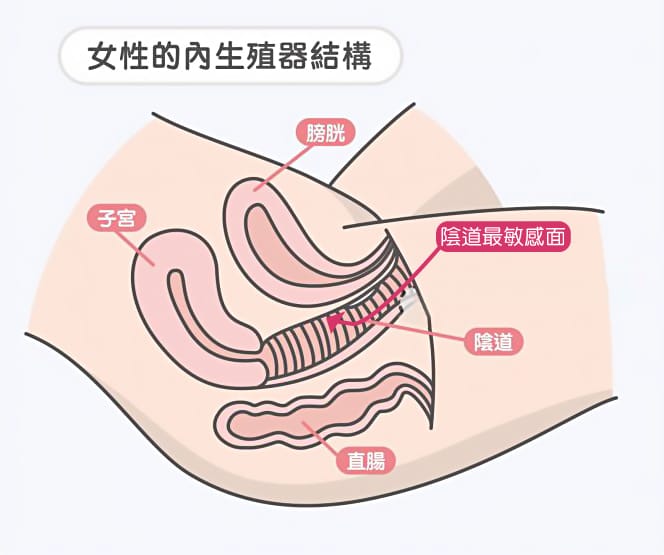 图片[2] - 让女人高潮的秘籍，使你一战成名的神乎其技 - ACG play